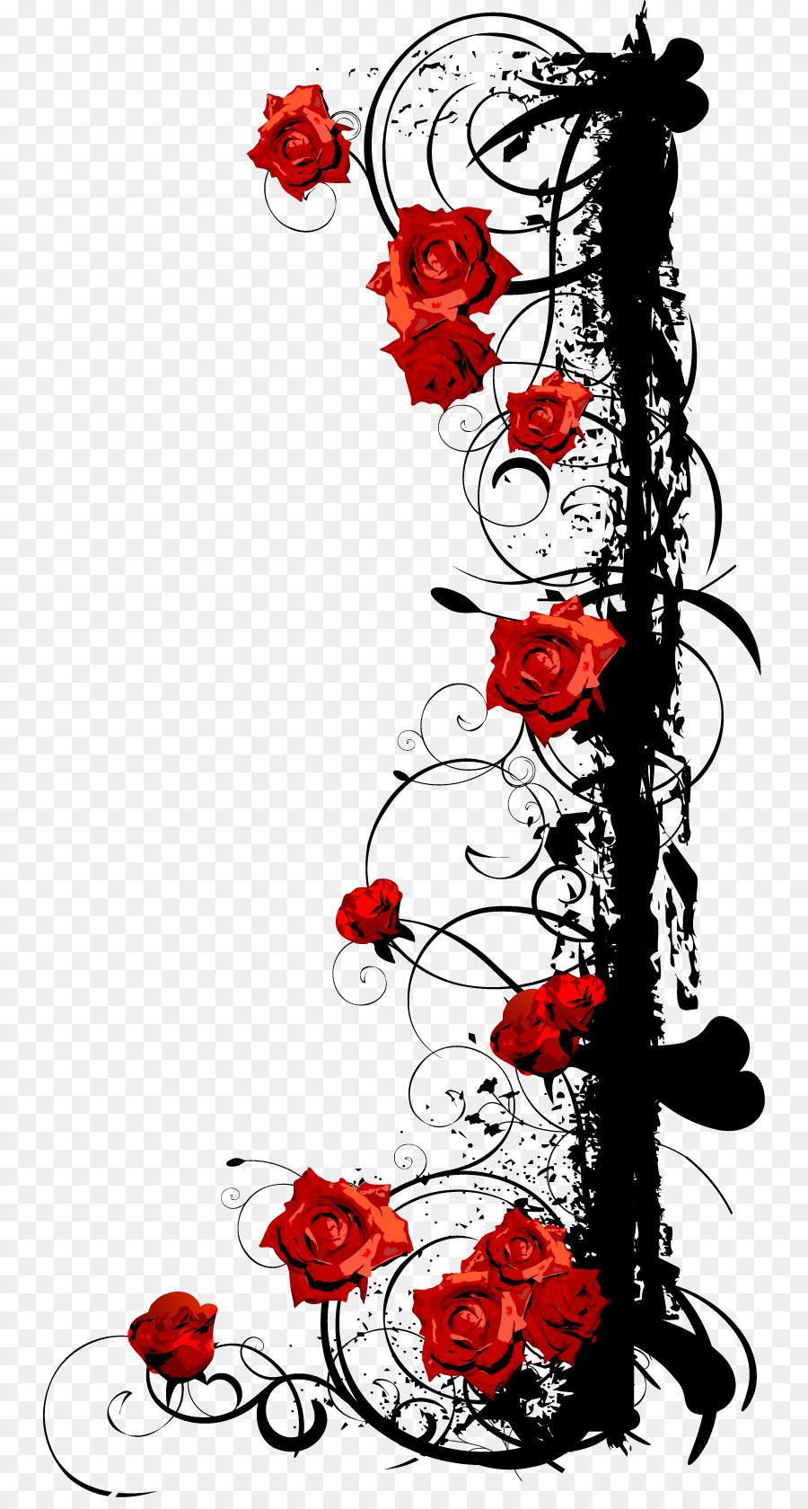 900x1680 Beach Rose Euclidean Vector