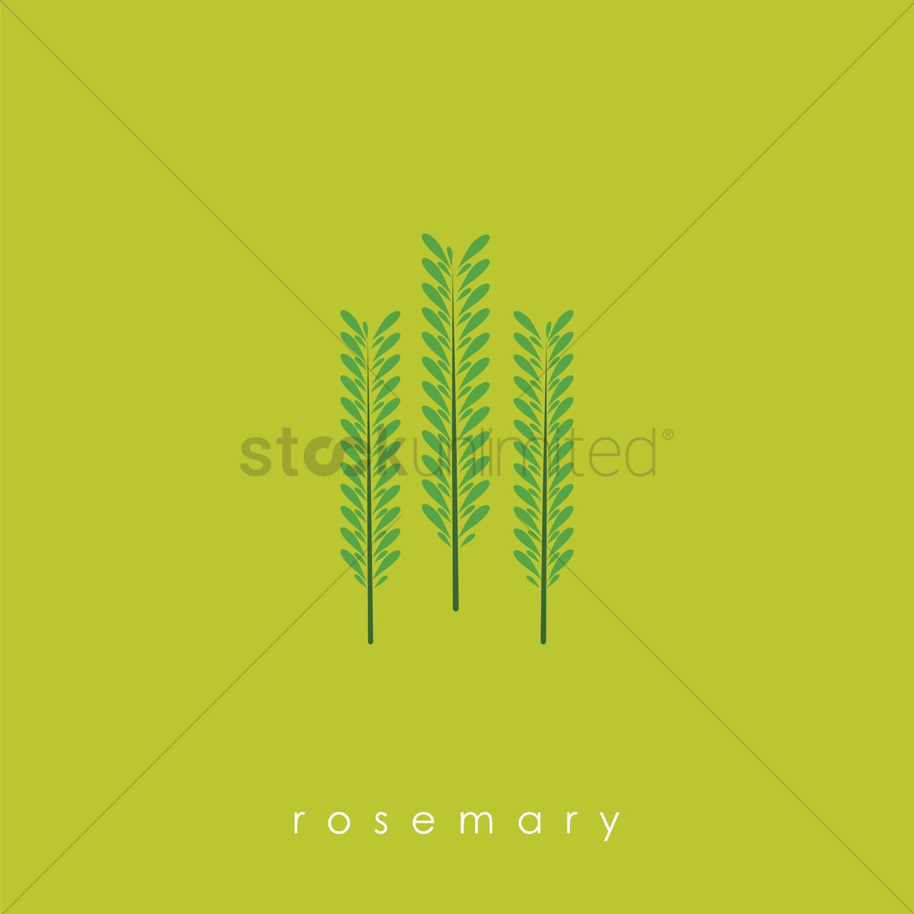 1300x1300 Rosemary Vector Image