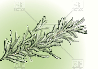 400x283 Rosemary Vector Image Vector Artwork Of Nature, Landscape