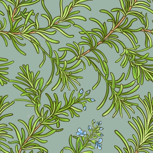 590x590 Rosemary Vector Pattern By Cuttlefish84 Graphicriver