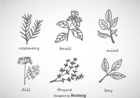 285x200 Rosemary Free Vector Graphic Art Free Download (Found 16 Files) Ai
