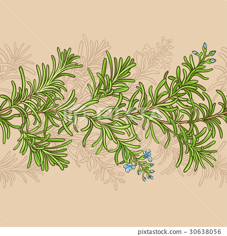 450x468 Rosemary Vector Pattern