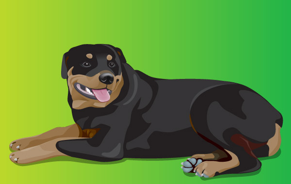 600x380 Rottweiler Vectors, Photos And Psd Files Free Download