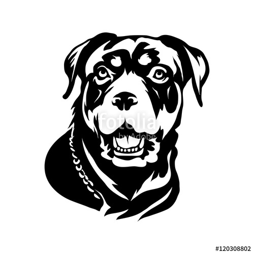 500x500 Rottweiler Dog Logo Stock Image And Royalty Free Vector Files On