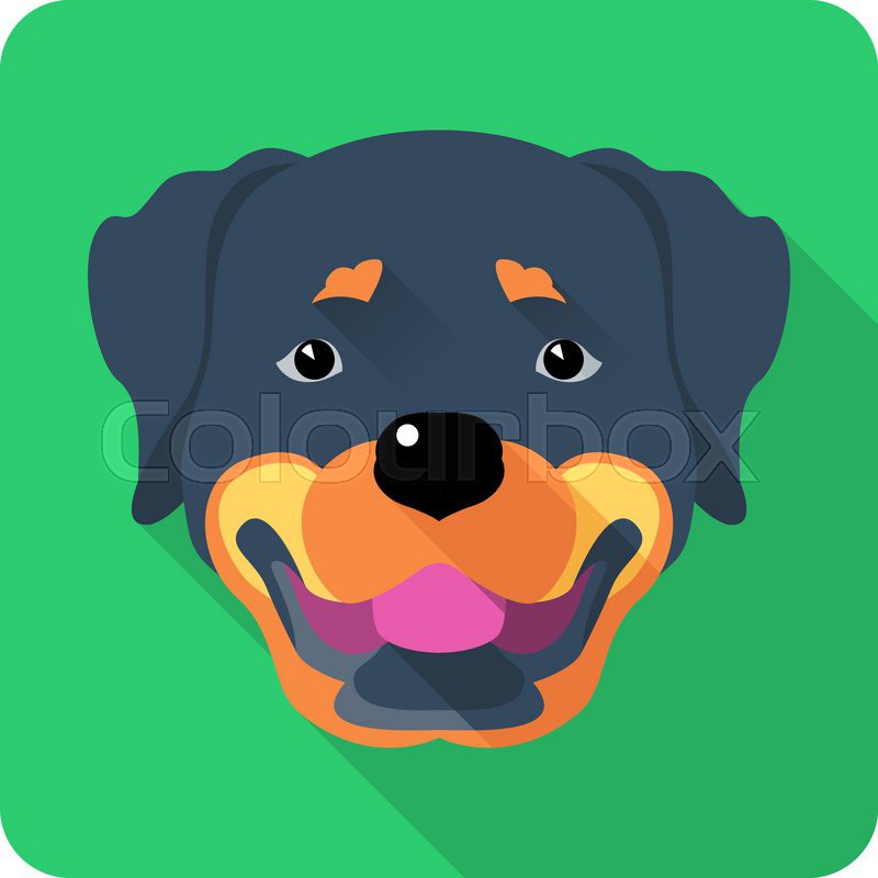 800x800 Vector Dog Rottweiler Face Icon Flat Design Stock Vector Colourbox