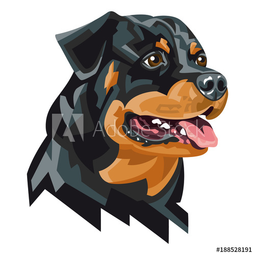 500x500 Rottweiler