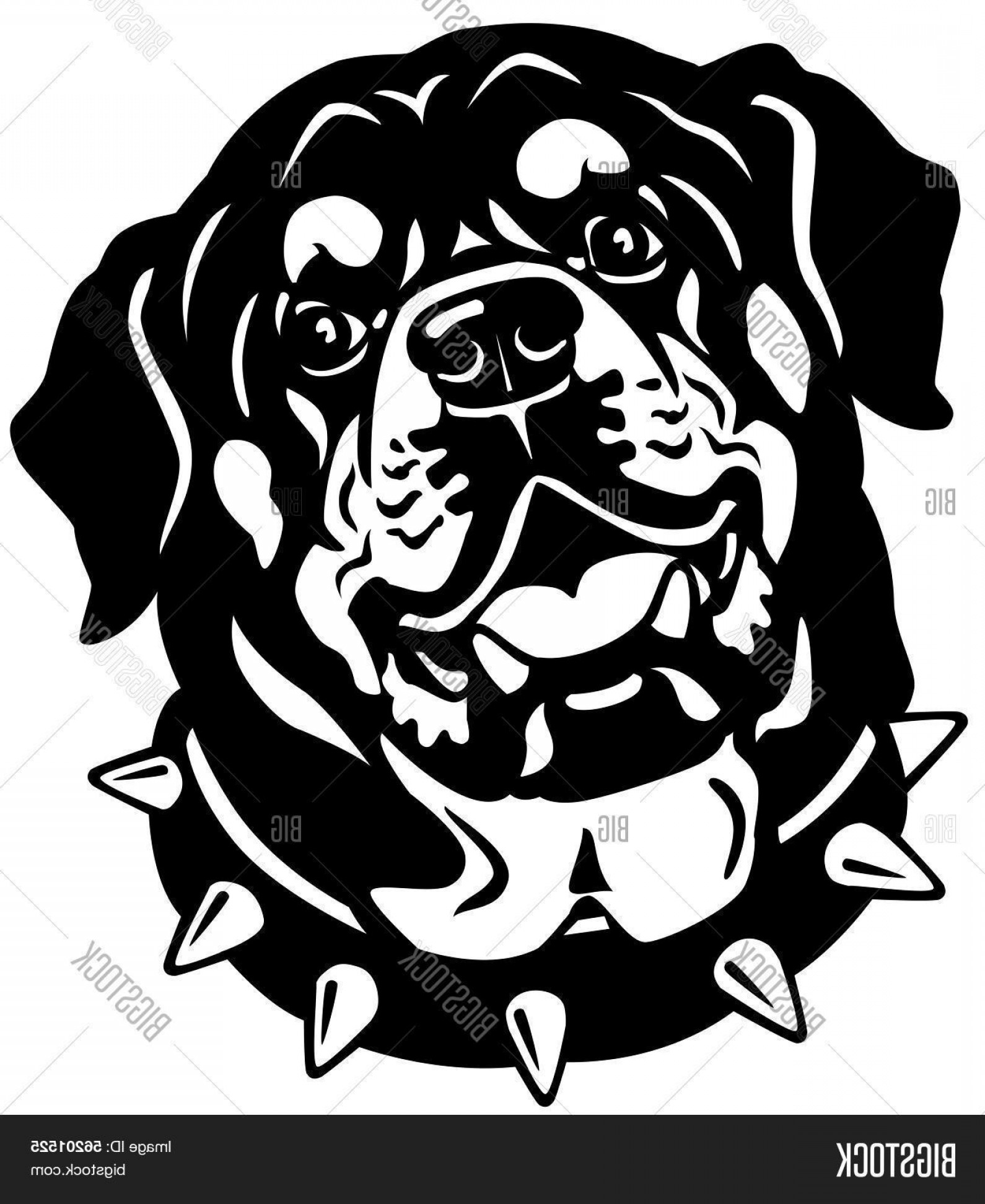 1590x1944 Rottweiler Vector Shopatcloth