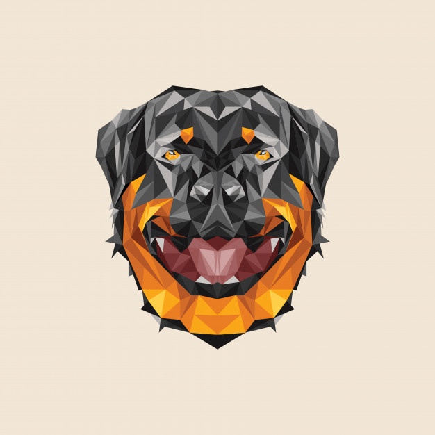 626x626 Rottweiler Vectors, Photos And Psd Files Free Download
