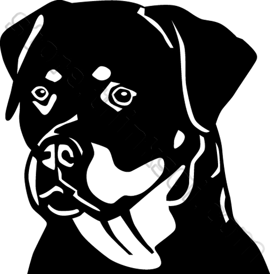 540x549 Rottweiler Clipart Mean