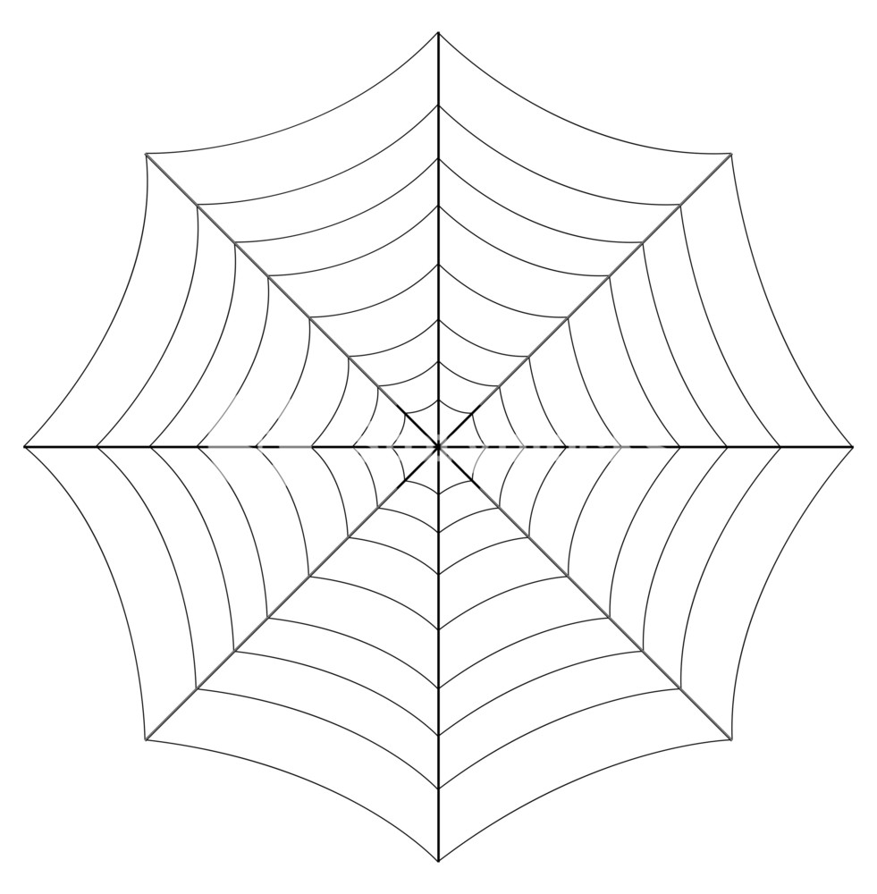 981x1000 Spider Web Vector Art Design Royalty Free Stock Image