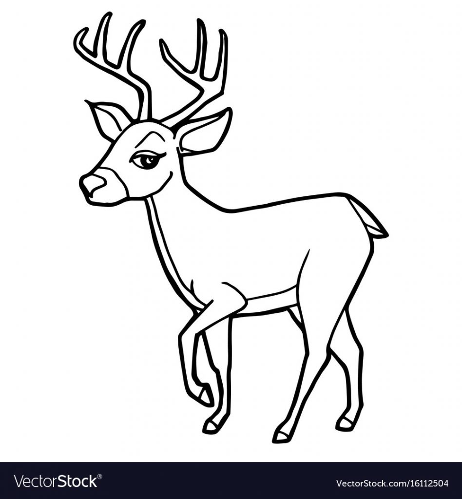 948x1024 Exclusive Coloring Pictures Of Deer Cartoon Cute