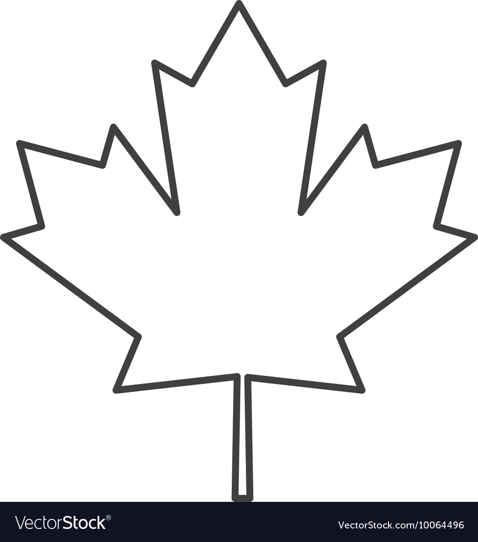 951x1080 Professional Canadian Flag Outline Canada Maple Leaf Icon Royalty