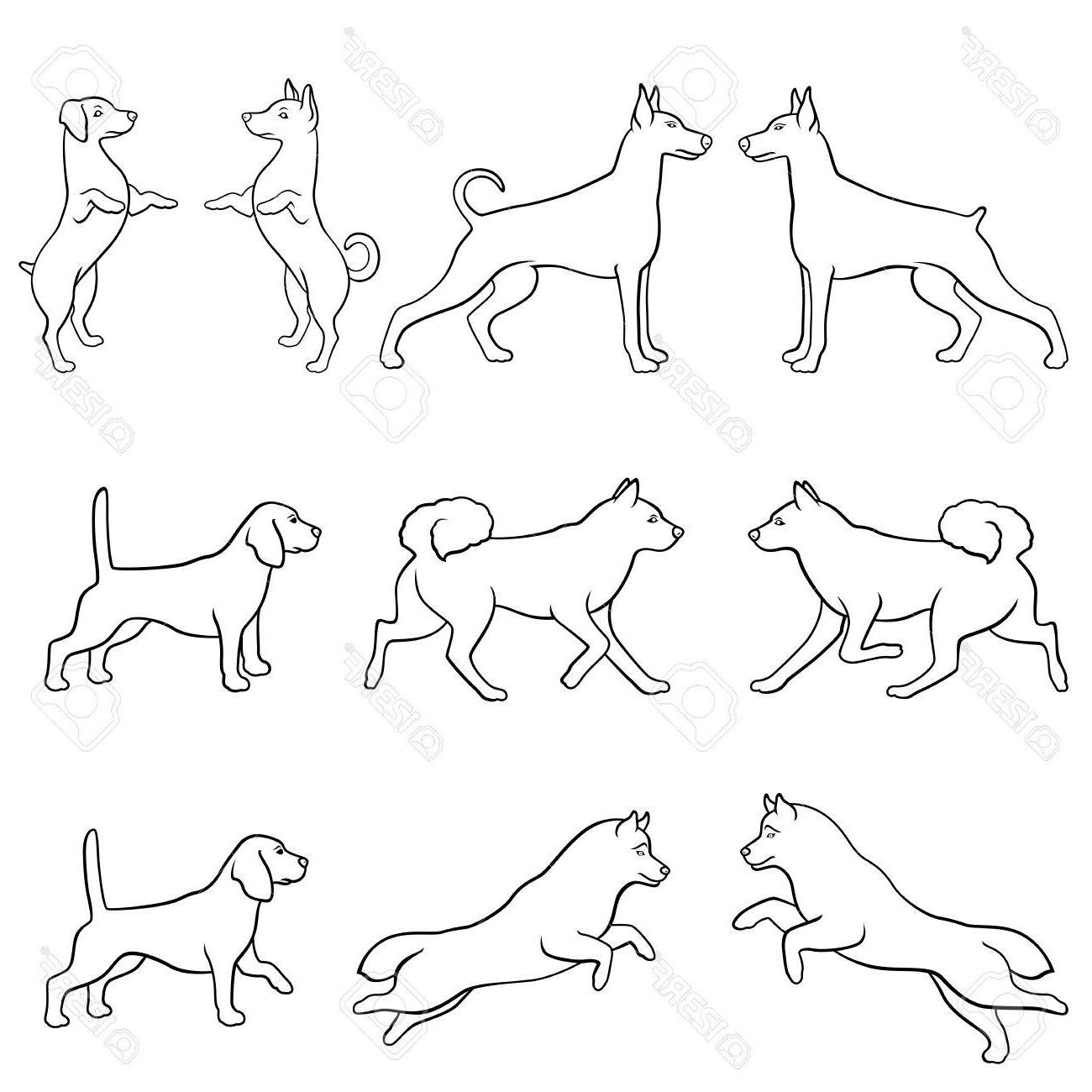 1300x1300 Best Body Outline Of A Dog Vector Drawing Free Vector Art