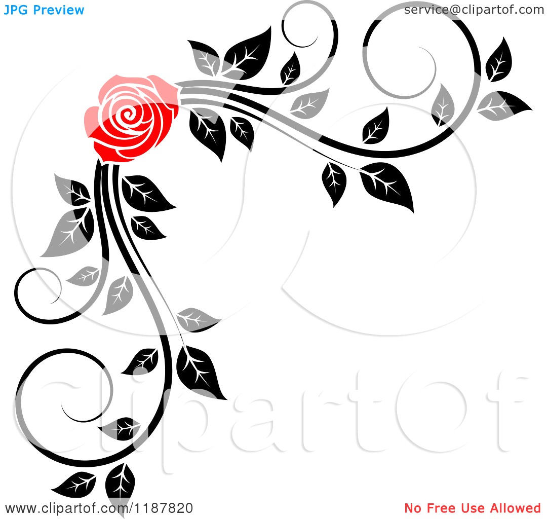 1080x1024 Simple Corner Border Clipart Of A Red Rose And Black White Foliage