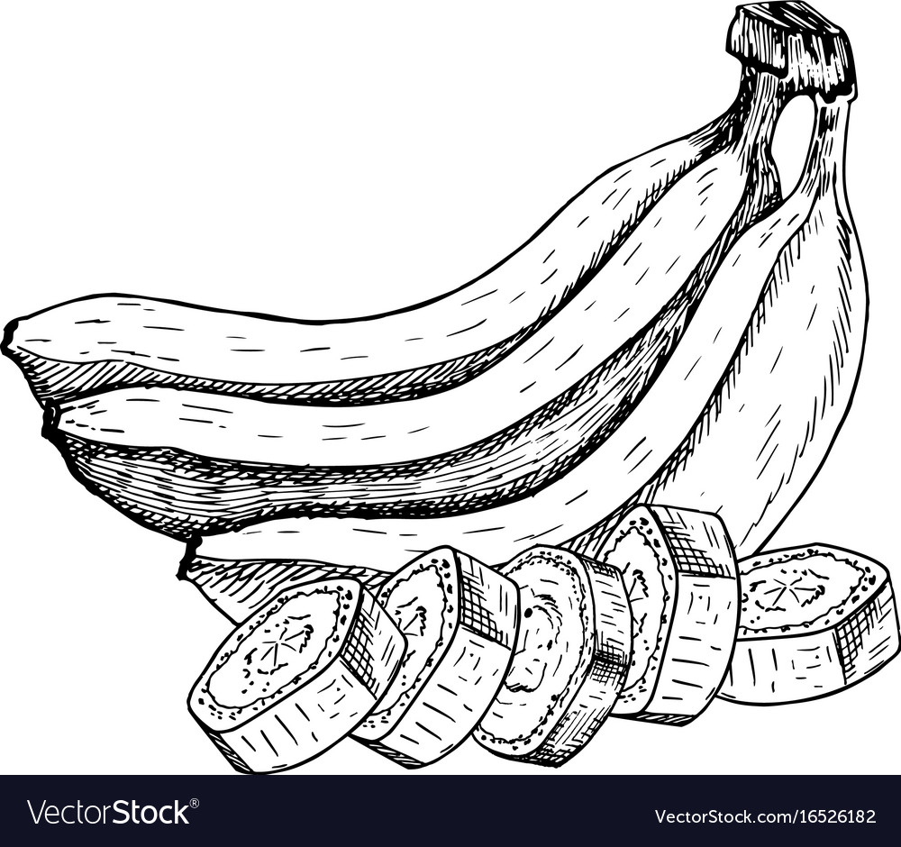1000x940 Banana Sketch Images Hand Drawn Set Of Banana Sketch Royalty Free
