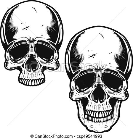 449x470 Collection Of Hand Drawn Skulls In Monochrome. Vector Skulls