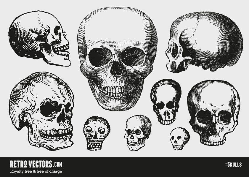 841x596 Free Vector Skulls Vintage Vectors Royalty Free Free Of