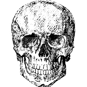 300x300 Royalty Free Vintage Vector Skull Art 403123 Vector Clip Art Image