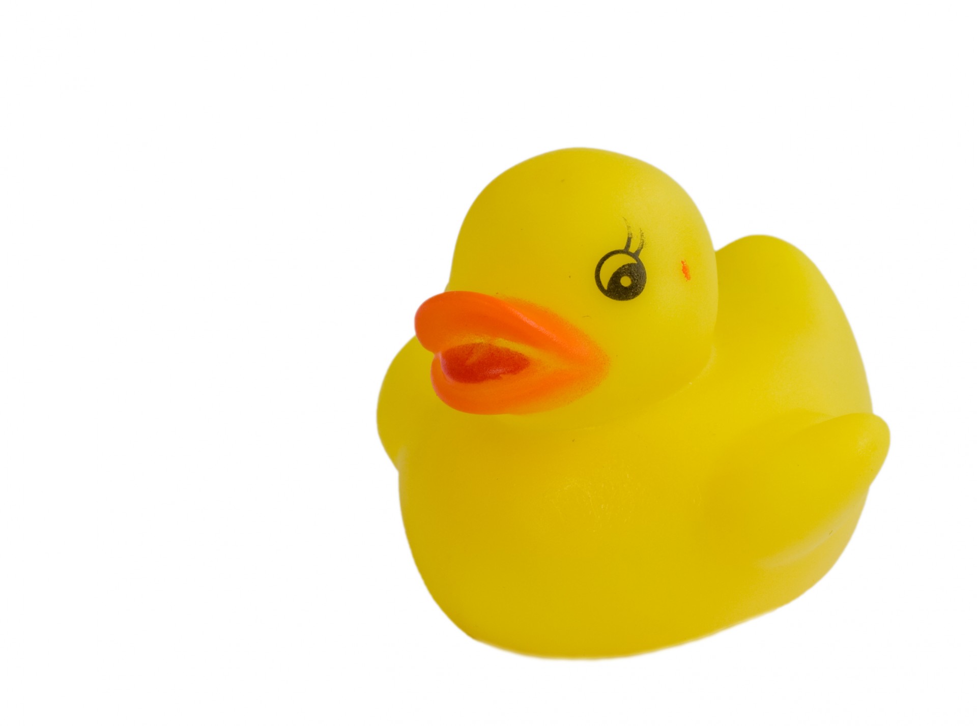 1920x1427 Rubber Duck Vector 3864794