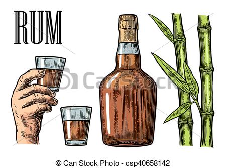 450x334 Glass And Bottle Of Rum With Sugar Cane. Vintage Color Vector