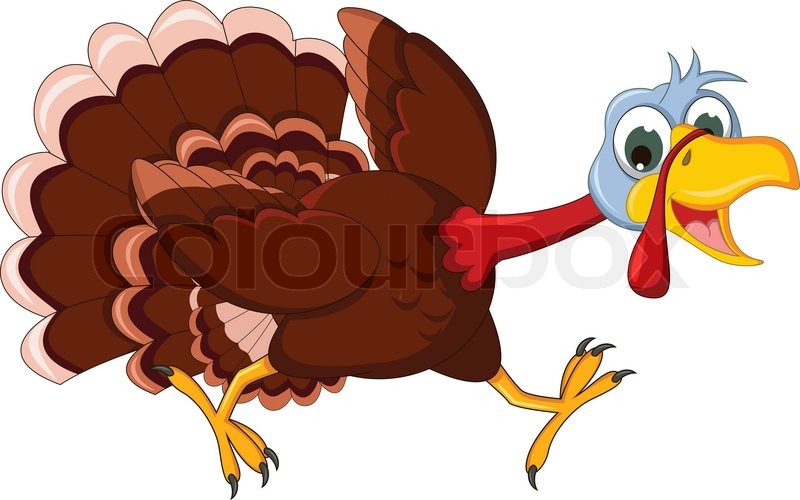 800x500 Funny Turkey Cartoon Running Stock Vector Colourbox