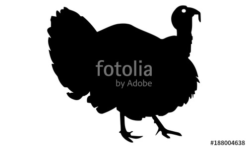 500x300 Running Turkey Silhouette Stock Image And Royalty Free Vector
