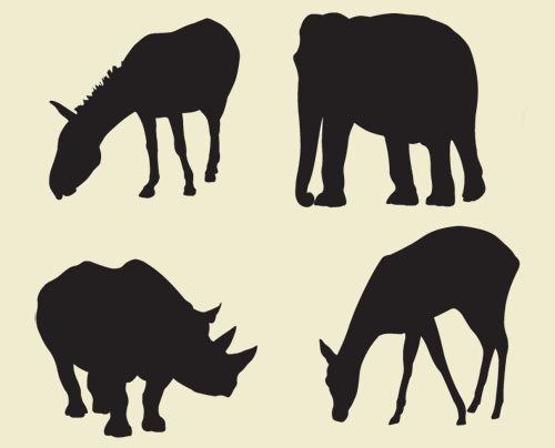 Safari Animals Vector