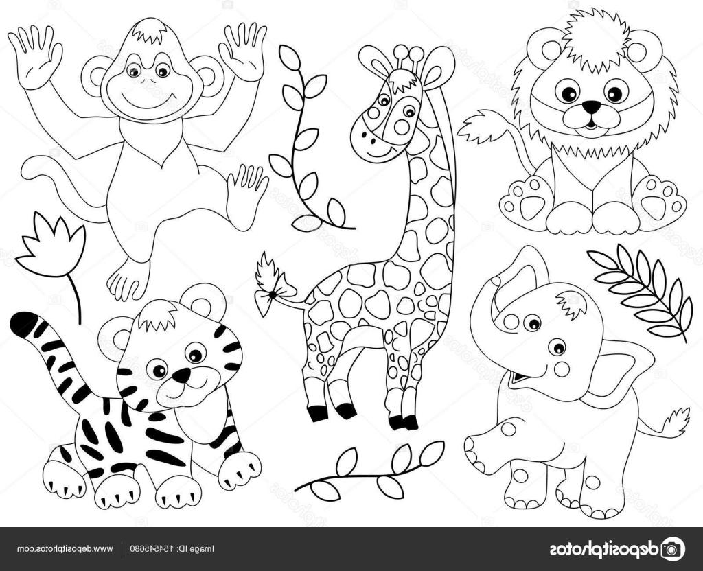 1024x832 Hd Stock Illustration Vector Safari Animals Library