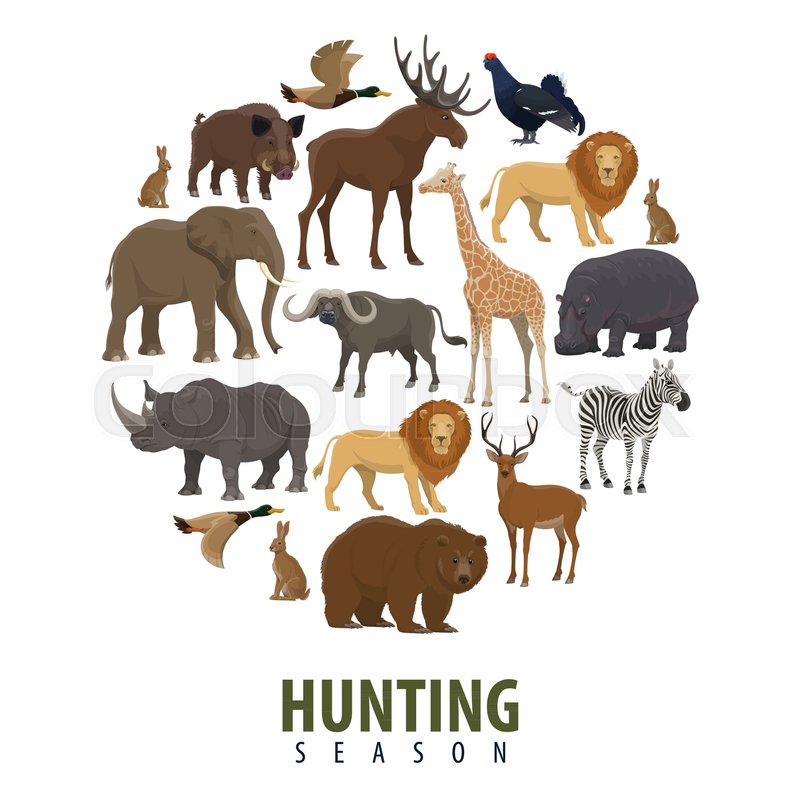 800x800 Hunting Open Season Poster Of Wild Animals. Vector Design Of