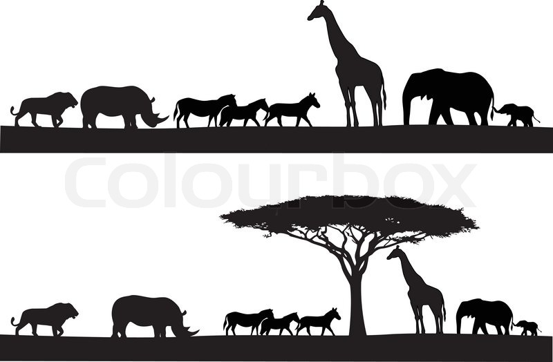 800x524 Safari Animal Silhouette Stock Vector Colourbox