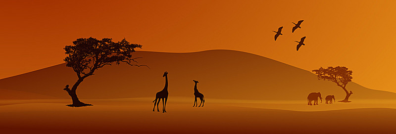 800x271 Safari Vector Silhouettes, Zoo, Bird, Tree Background Image For