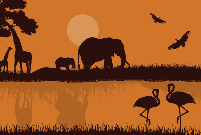 690x465 African Safari Silhouette