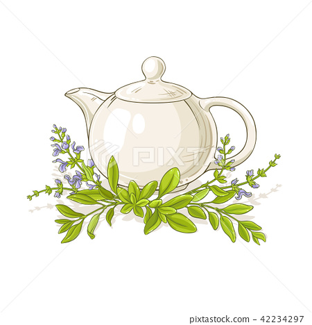 450x468 Sage Tea Vector Illustration