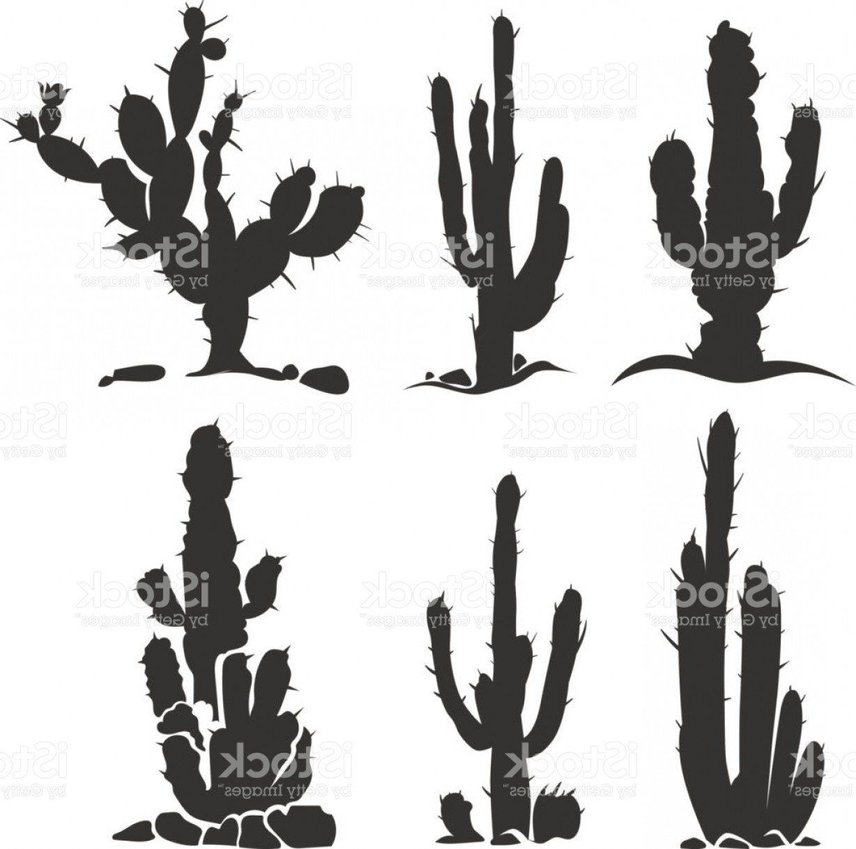 1228x1219 Desert Cactus Vector Silhouette Plants Isolated On White Gm