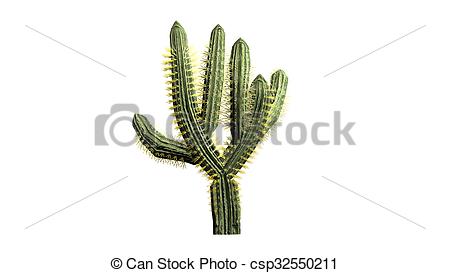 450x273 Saguaro Cactus Isolated On White Background Clipart