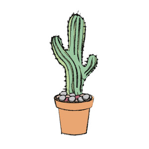 300x300 Saguaro Cactus Royalty Free Vectors