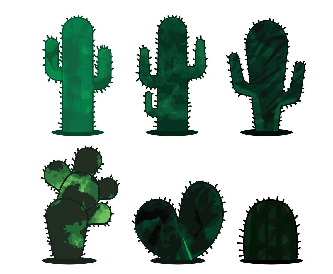 1136x936 Cactus Vector Vector Art Amp Graphics
