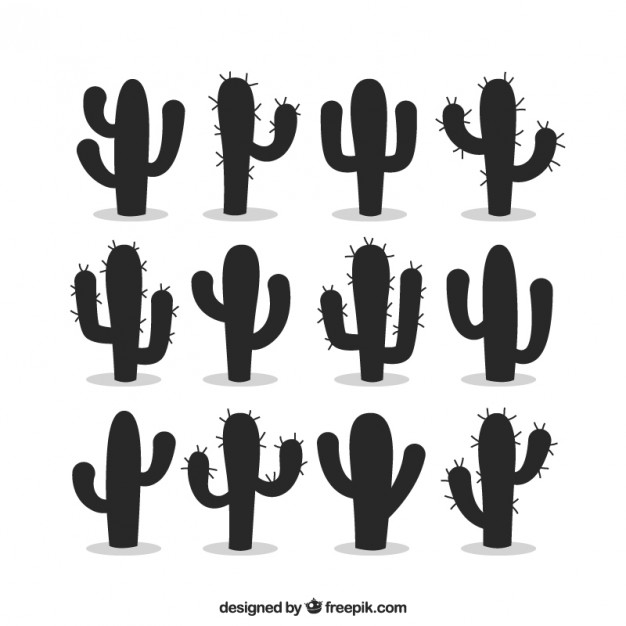 626x626 Cactus Vectors, Photos And Psd Files Free Download