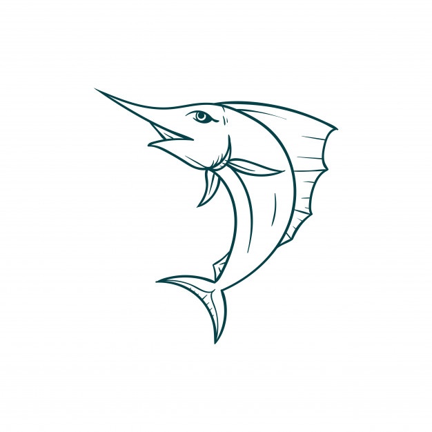 626x626 Sailfish Vectors, Photos And Psd Files Free Download