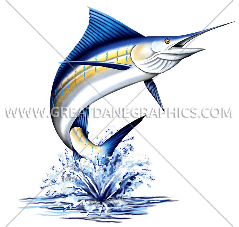 825x786 Sailfish Vector Free Download On Melbournechapter