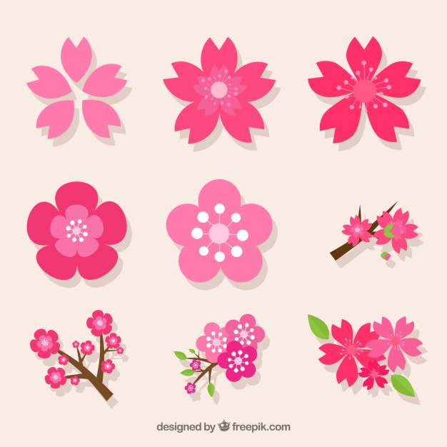 626x626 Decorative Pack Of Variety Of Cherry Blossoms Vector Free Download