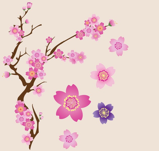 633x600 Free Download Of Cherry Blossoms Vector Vector Graphic
