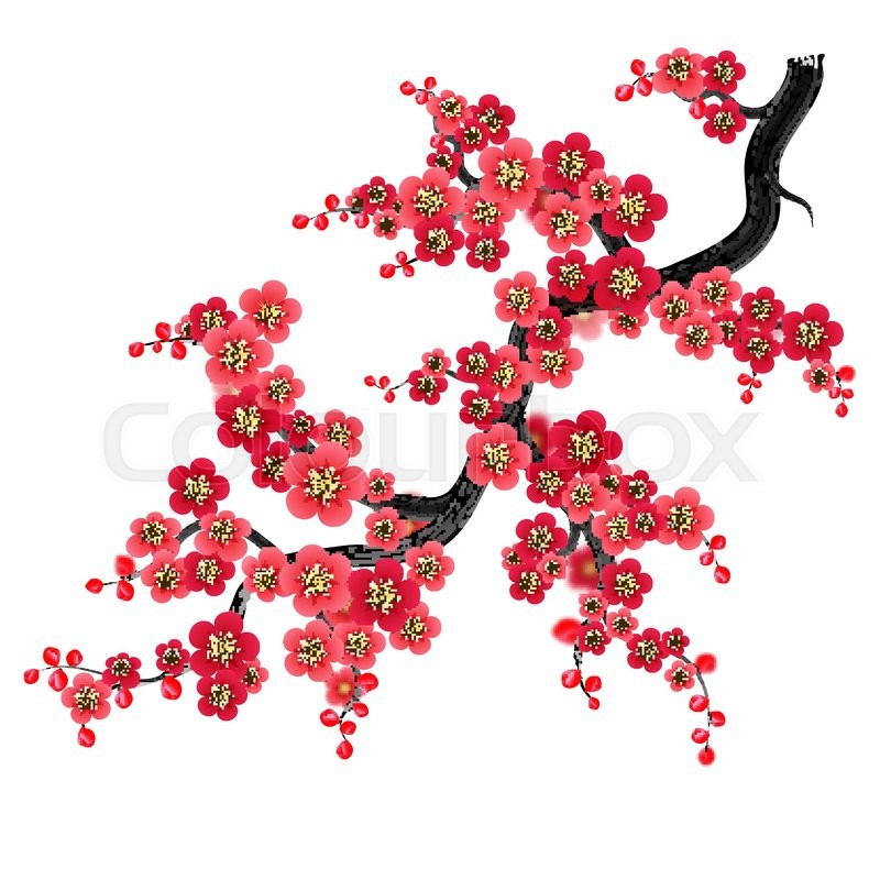 800x800 Elegant Soft Red Color Cherry Flowers Vector Sakura Background