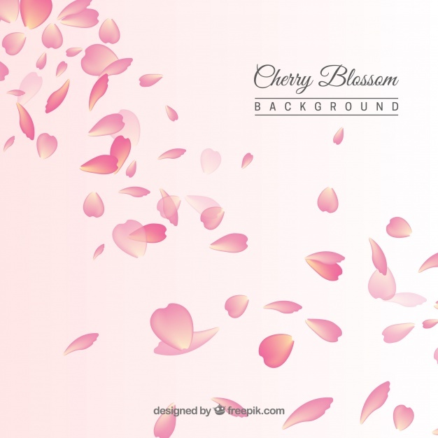626x626 Sakura Vectors, Photos And Psd Files Free Download
