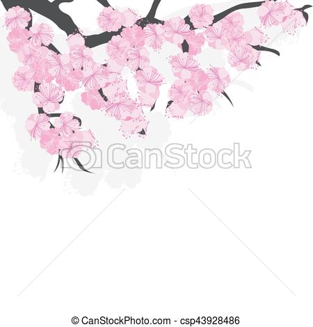 450x470 Branch Of Cherry Blossoms With Sakura Flowers.