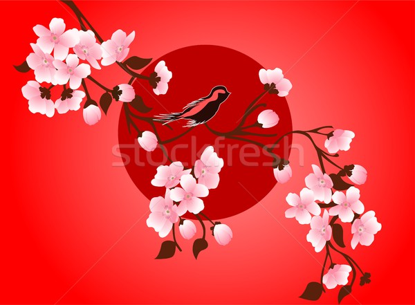 600x441 Cherry Blossom Art Picture. Vector Sakura Flower Vector