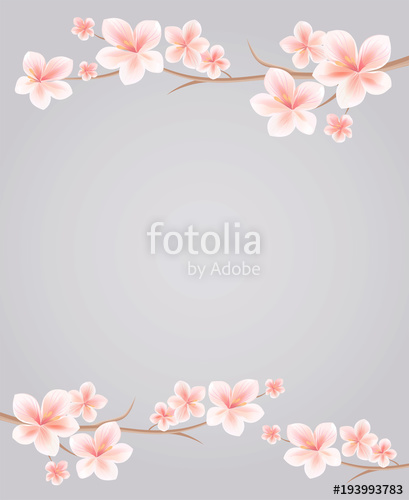 409x500 Branches Of Sakura With Pink Flowers Isolated On Grey Background