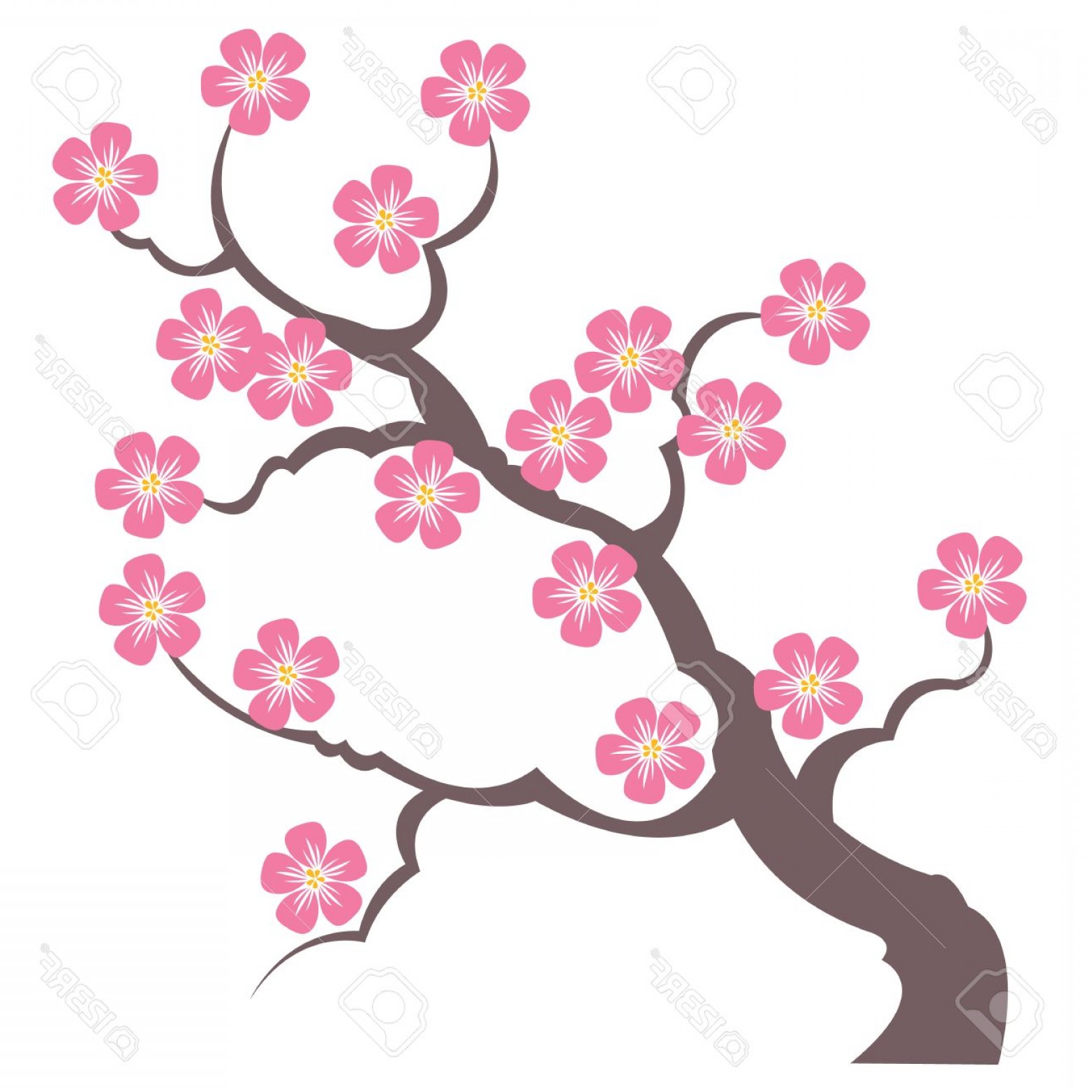 1560x1560 Photostock Vector Silhouette Branches Of Sakura Vector Drawing For