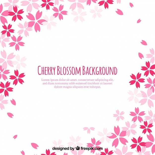 626x626 Sakura Vectors, Photos And Psd Files Free Download
