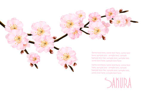 500x348 Sakura Branch With Spring Background Vector Free Download